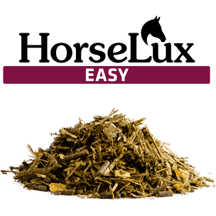 Horselux Easy